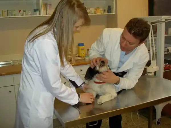 Comienza la carrera de Veterinaria en Gualeguaychú por el acuerdo de UNER