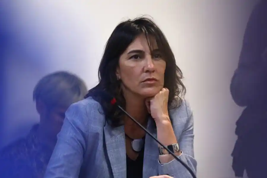 Diputada del schiarettismo anuncia que votará por Massa