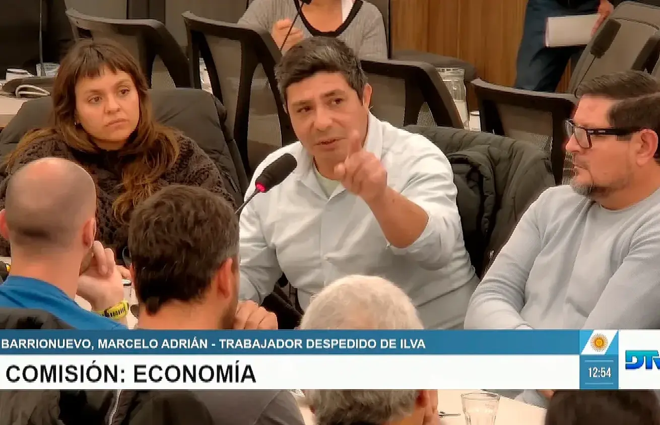 Barrionuevo expuso en la Comisión de Economía de la Cámara de Diputados.