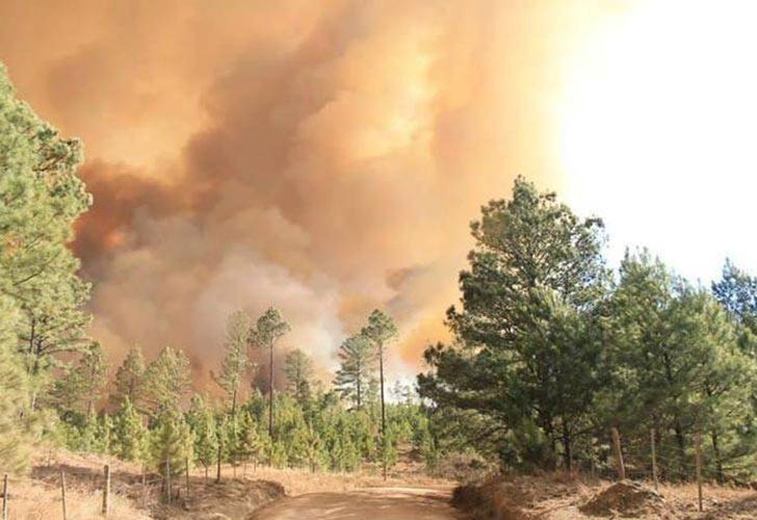 Córdoba combate 100 focos de incendios en zonas forestales