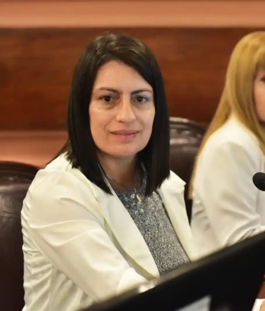 La diputada Carola Laner ingresó para su tratamiento el proyecto de Ley de Reiterancia