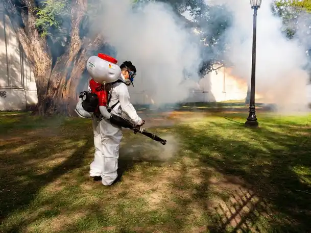 Los procedimientos se realizarán desde este lunes 29 hasta el sábado 3 de enero por personal de la Dirección de Vectores.