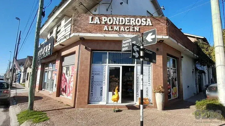 Otro asalto violento a un almacén de Luro y 194: "Mar del Plata está a la buena de Dios"