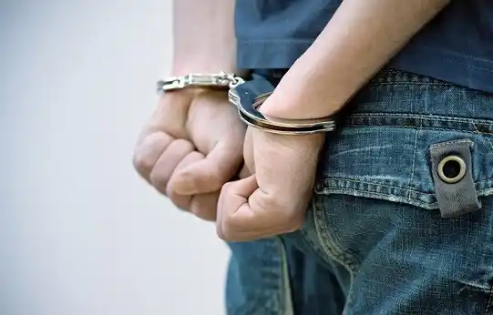 Le sustrajo el teléfono de arriba del mostrador y lo atraparon más tarde