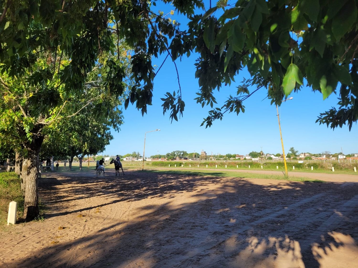 jockey club - 2
