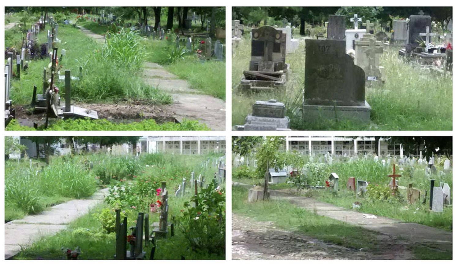 Abandono total en el Cementerio