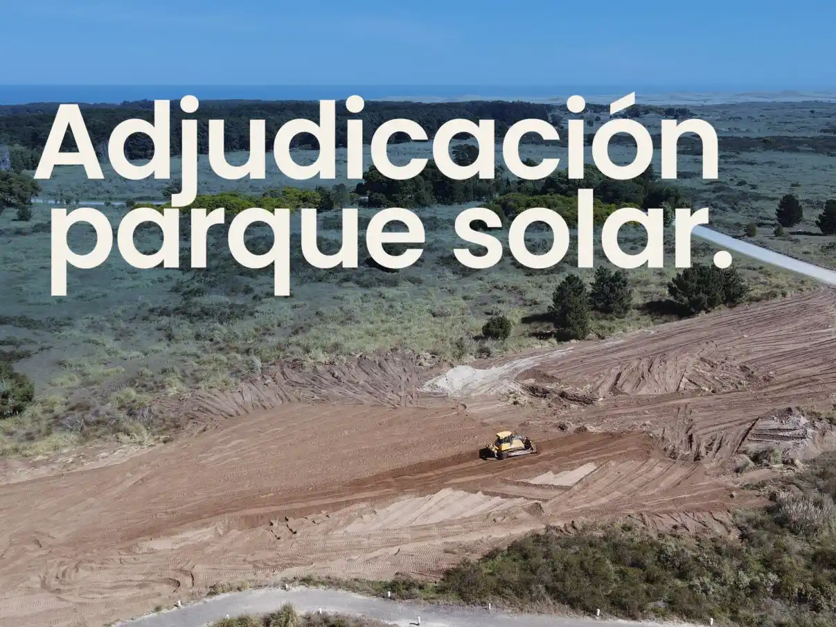 Adjudicación. Del Parque solar de San Cayetano