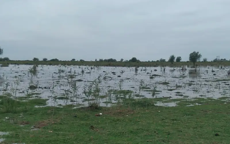 La Tosquera: “Crece el río”