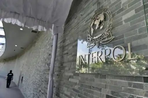 Más de 600 detenidos en un operativo de Interpol contra alimentos adulterados