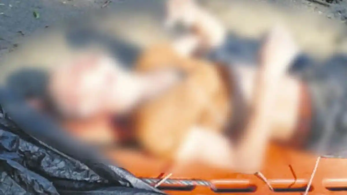 UNA CELEBRACIÓN QUE TERMINA EN TRAGEDIA: muere venezolano  durante un paseo en Magdalena