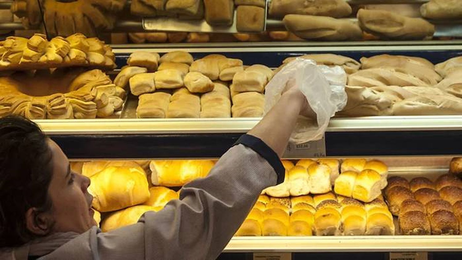 Panaderos afirman que el kilo de pan podría superar los $300