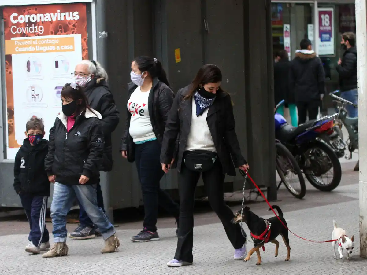 Récord de casos diarios en el país: se informaron 12.026 nuevos positivos