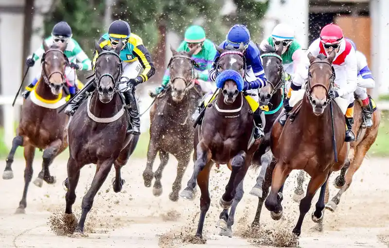 Lunes 30: Actividad Hipódromo de Palermo