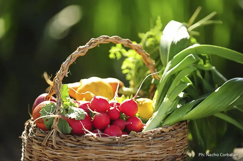 Se puso en marcha un plan estratégico para la producción orgánica