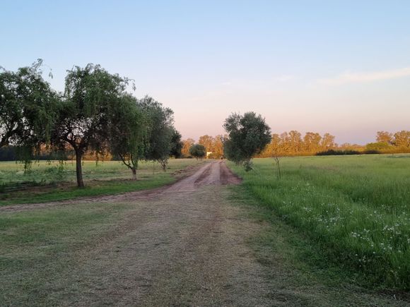 Declararán zona industrial al predio recuperado del narcotráfico en ruta 1001