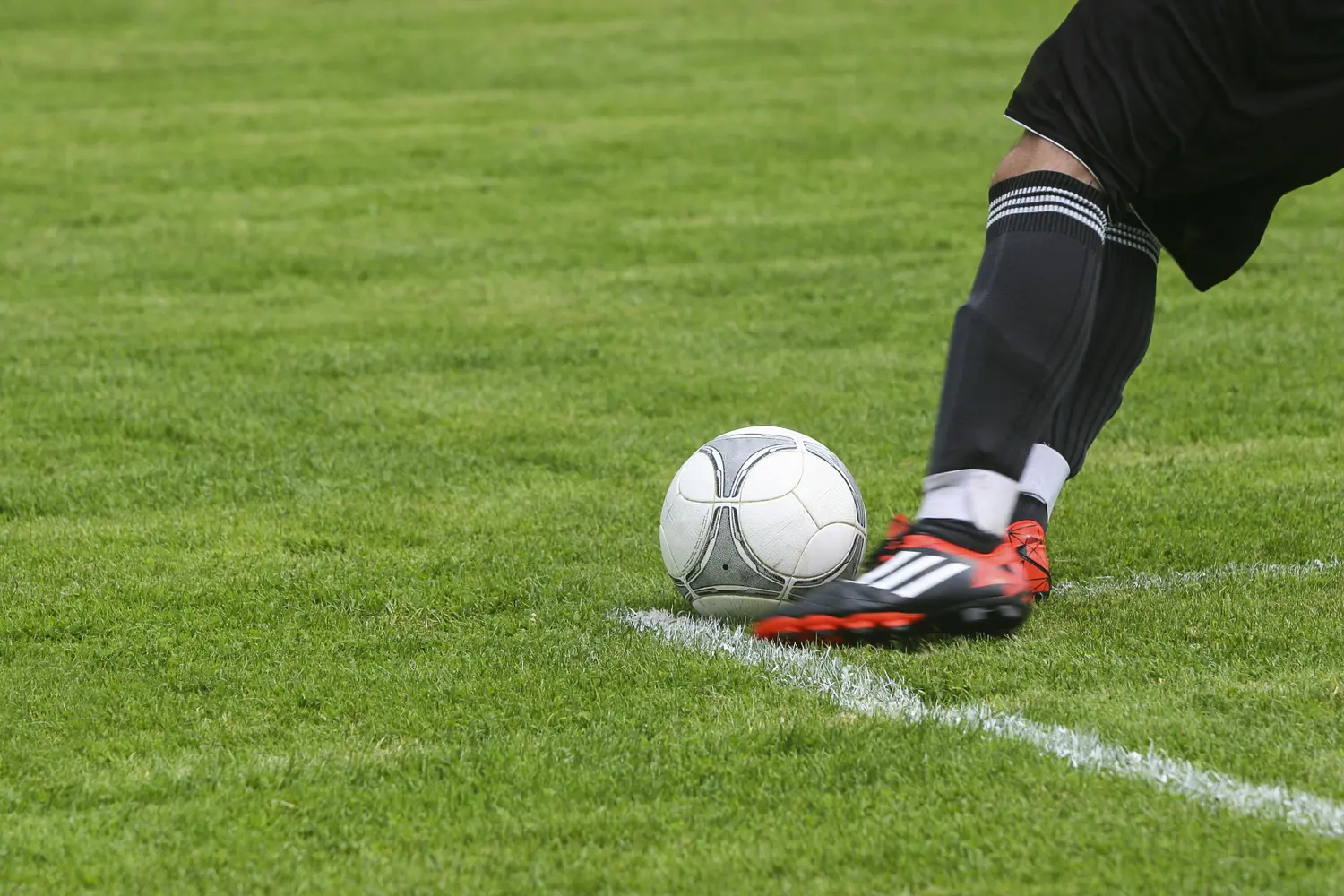 Todo lo que necesitas saber sobre la Copa América 2024