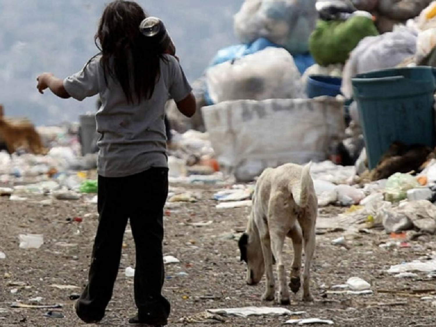 La pobreza bajó al 37,3% en el segundo semestre de 2021