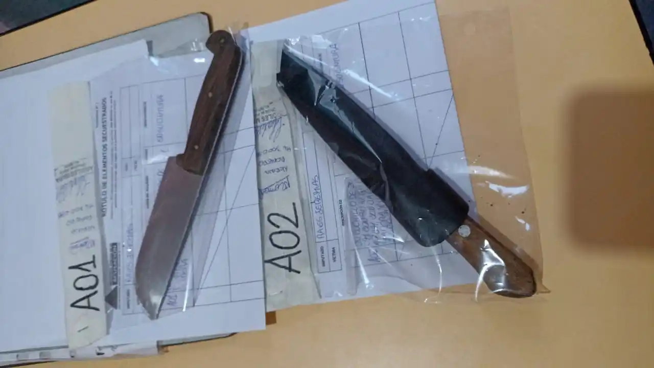 Los cuchillos fueron secuestrados y el masculino demorado.