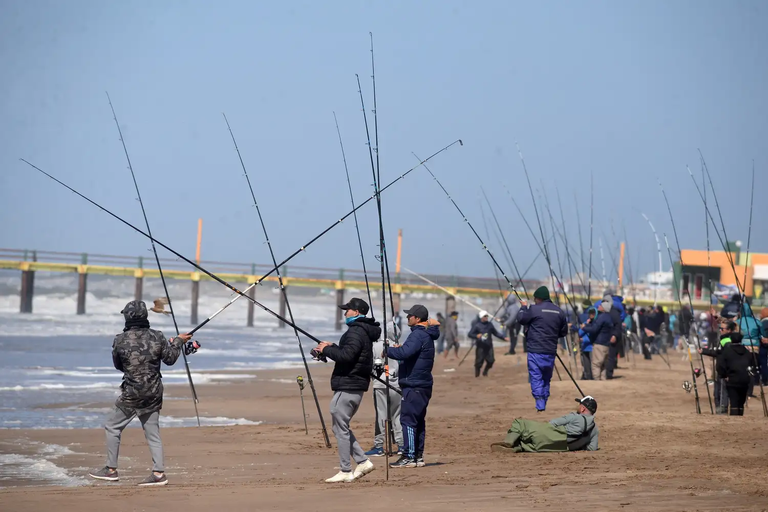 pesca gesell