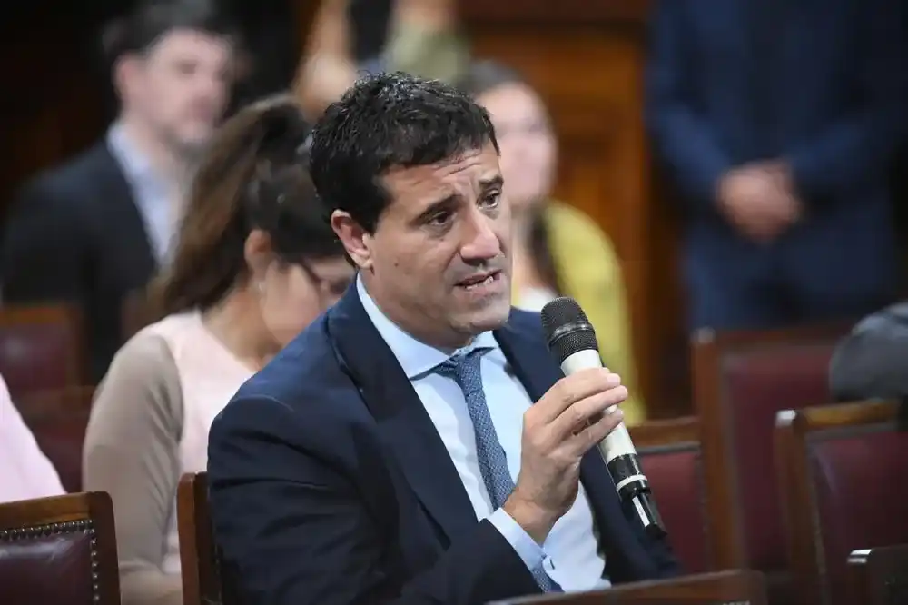Reforma electoral: Abad rechaza eliminar las PASO por "ahorro"