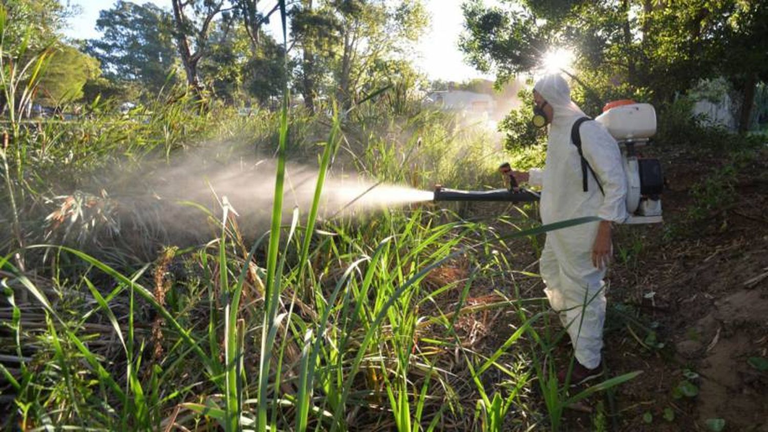 Dengue en Provincia de Buenos Aires