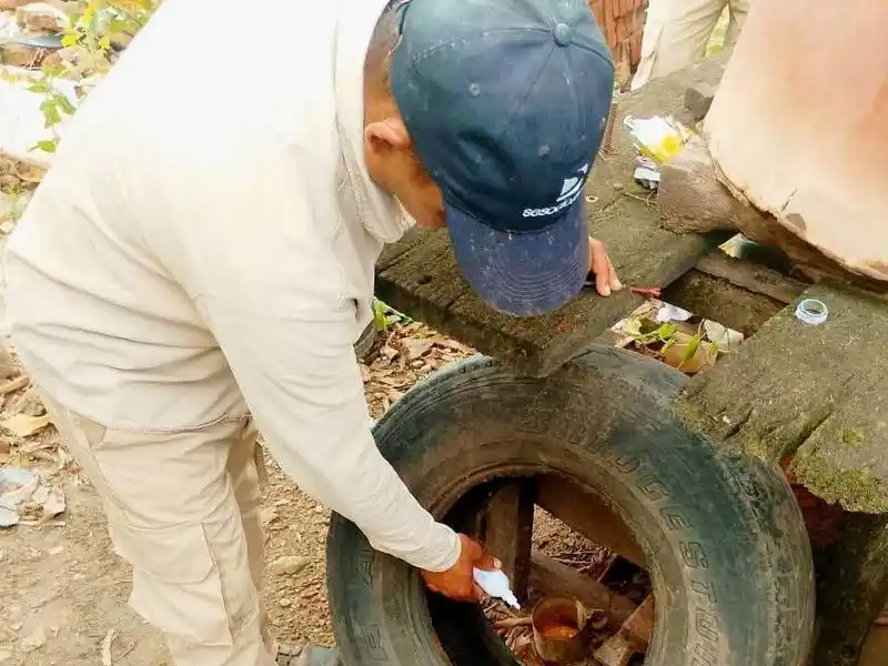 Instan a intensificar controles de posibles
criaderos del mosquito tras las lluvias