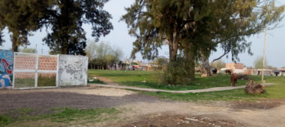 Caballo suelto atacó a una docente en la escuela 47