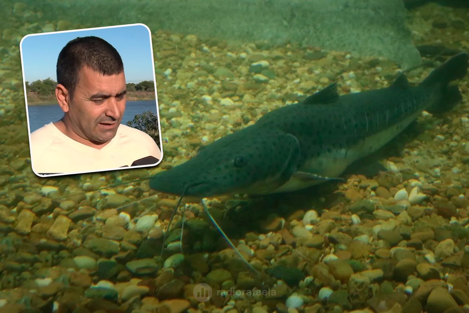 Pescadores santafesinos reclamaron igualdad de condiciones: "No puede prohibirse solo en Santa Fe"