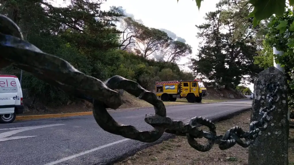 Las impactantes imágenes del incendio en el Parque