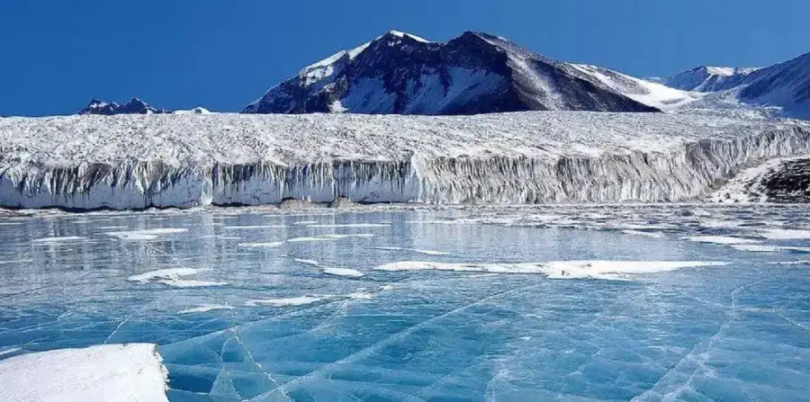 Alerta en la Antártida: el hielo marino - 2
