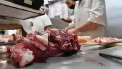 Qué falta para habilitar de nuevo las exportaciones de carne