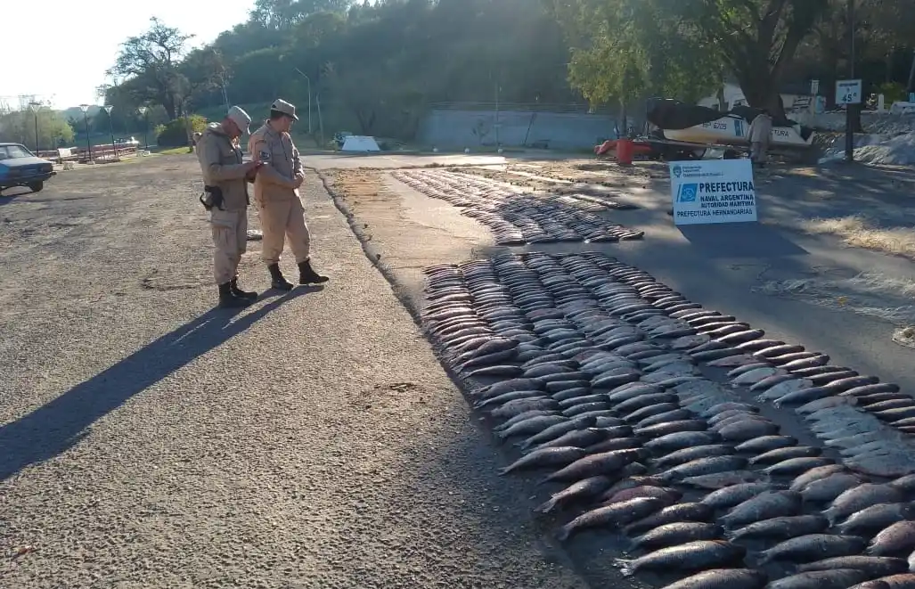 Además de las 1152 especies secuestradas, las autoridades incautaron 10 redes de pesca y dos barcas.
