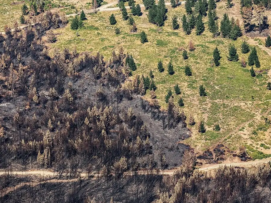 Chubut atraviesa una situación crítica debido a los incendios forestales en la zona de la Regional Patagonia.
