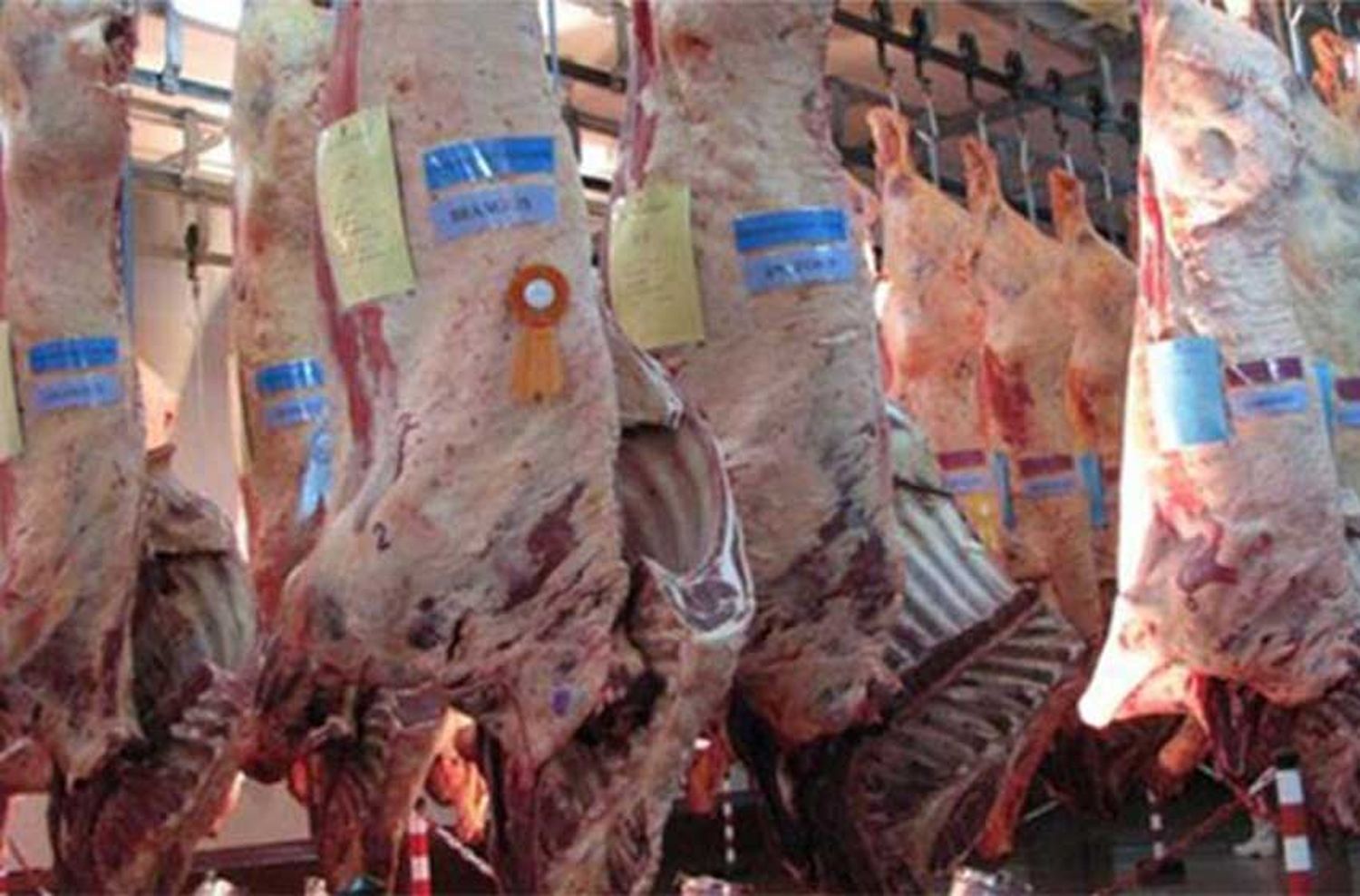 La Mesa de las Carnes pidió que se levanten las restricciones a las exportaciones