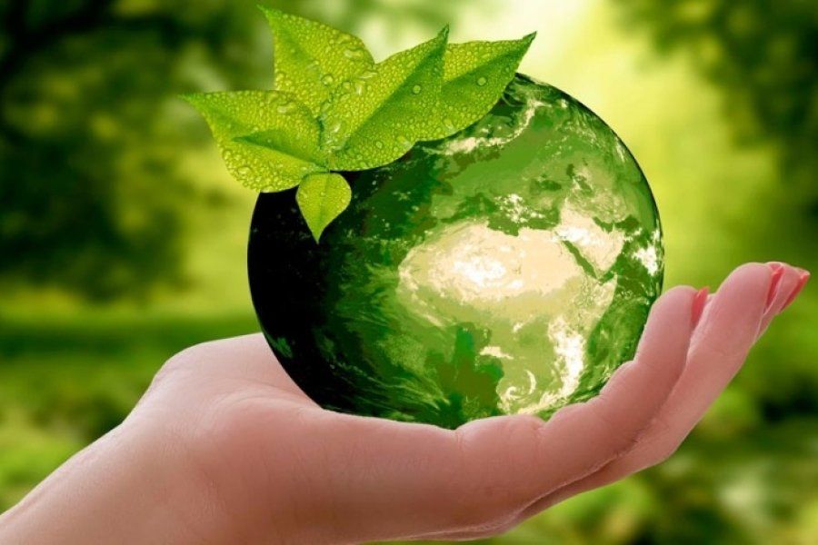 Empresas comprometidas con el cuidado del ambiente