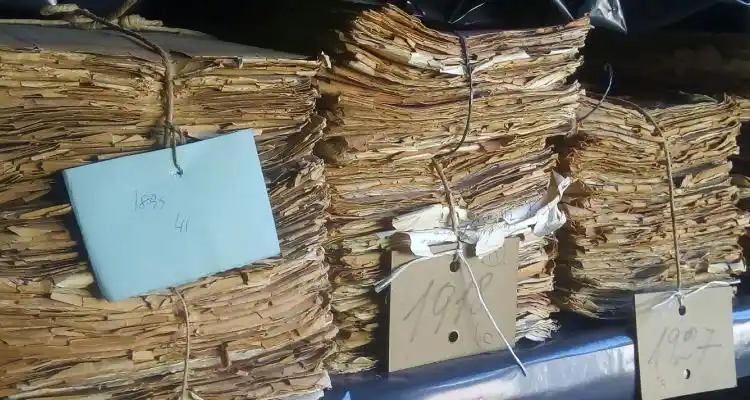 El Museo Paleontológico recibió y guardará documentación por más de cien años del Juzgado de Paz local