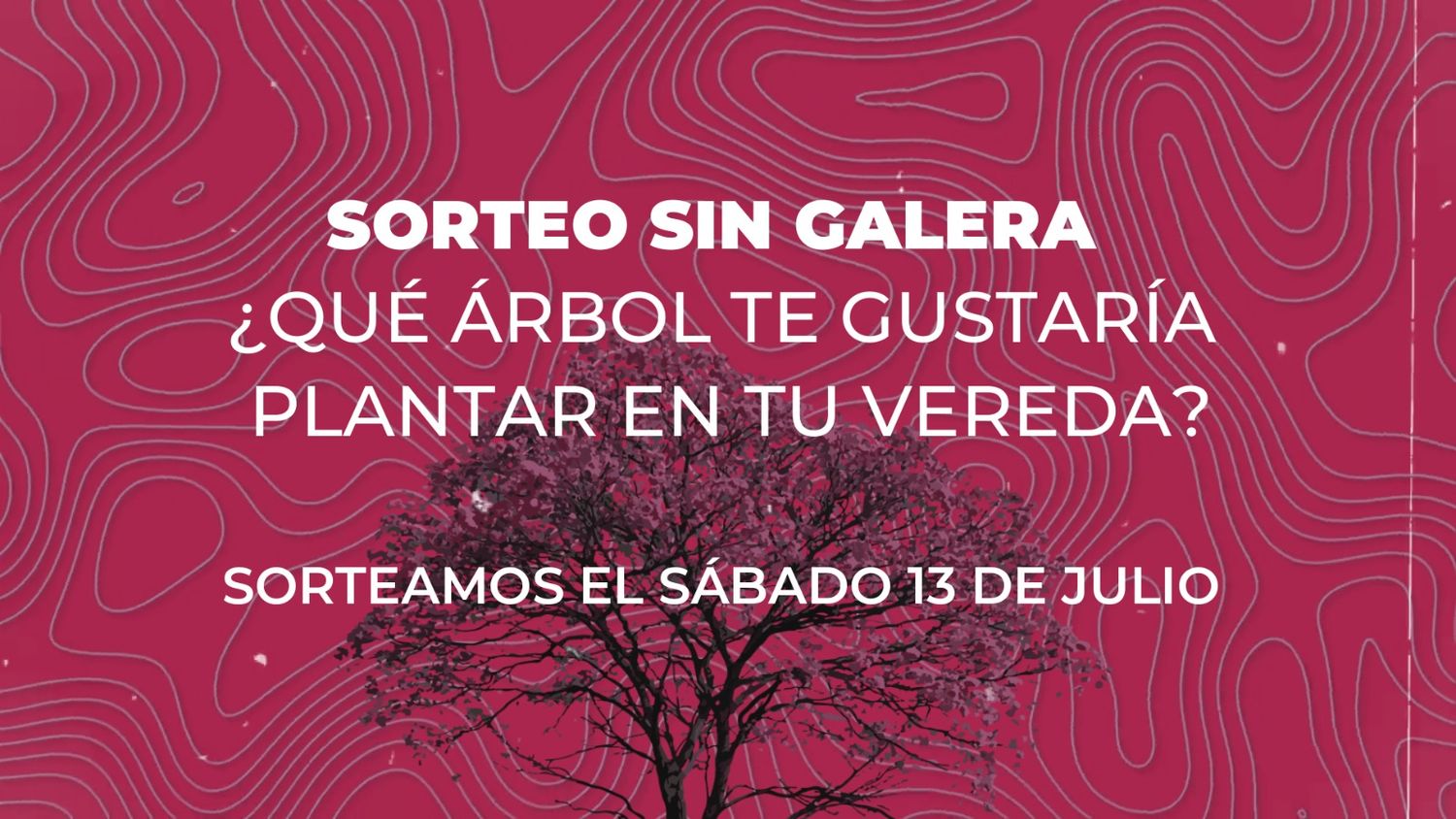 Extendimos el concurso de Sin Galera: participá y ganá un hermoso lapacho rosado