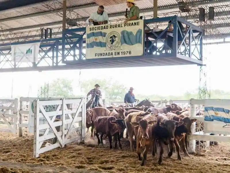 El MPyA acompañó la XIX Expo
del Ternero y Novillito en Pirané