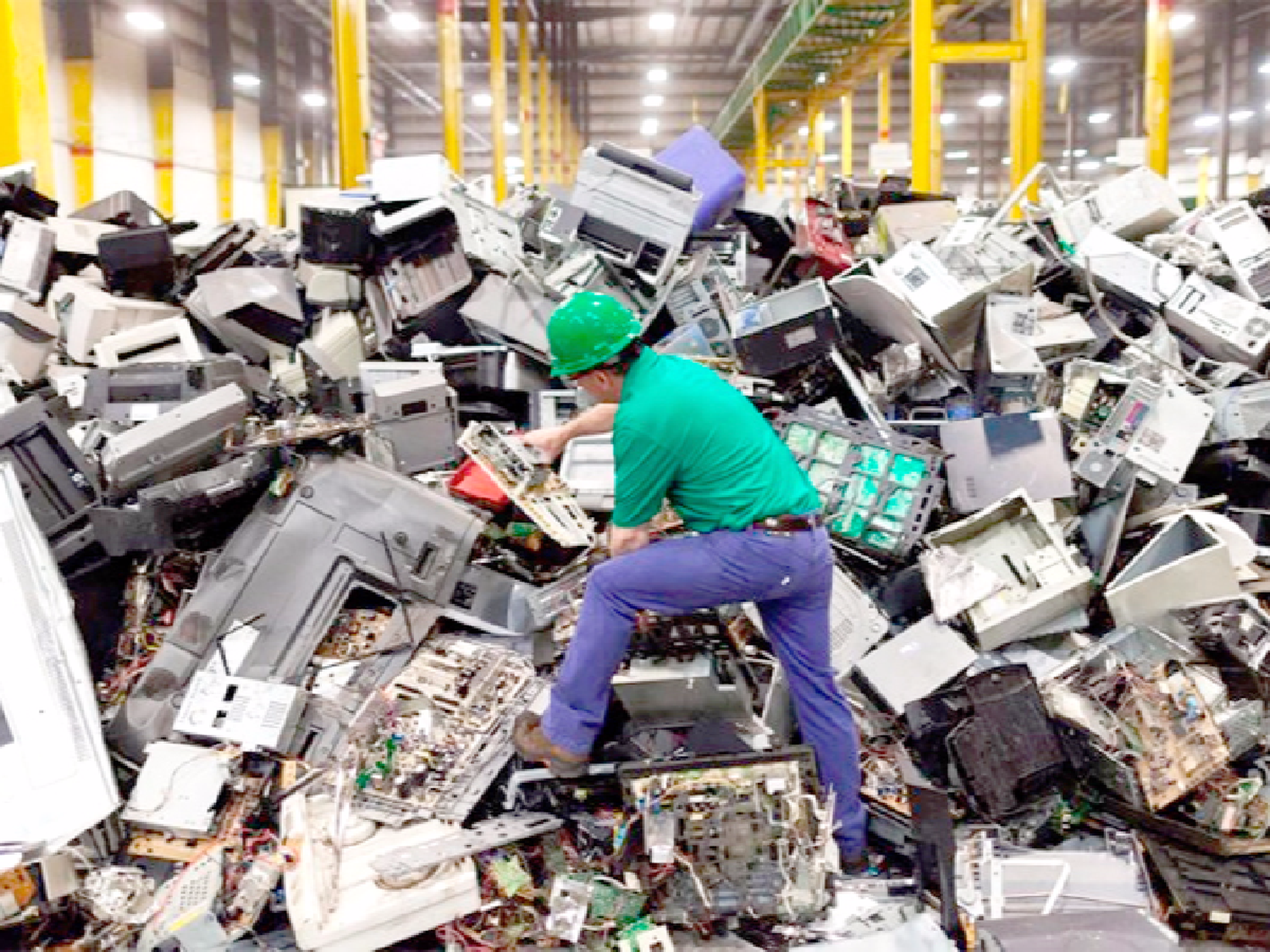 Ramona sustentable: campañas de basura electrónica y compost familiar
