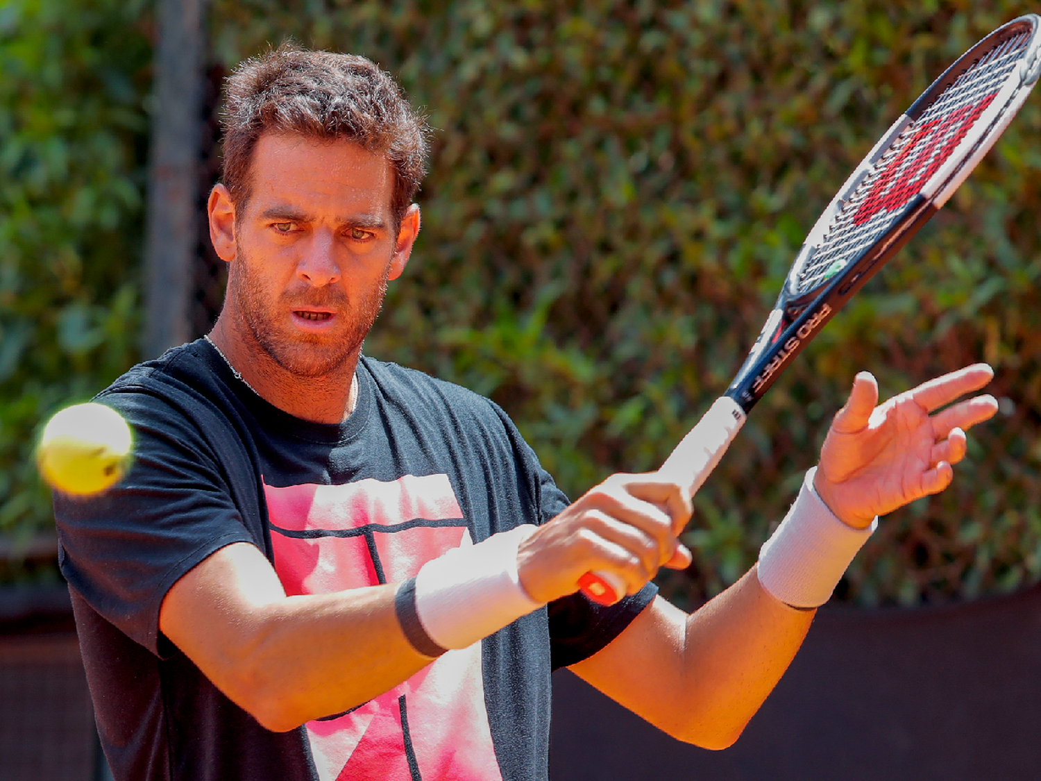 Del Potro acapara toda la atención del Argentina Open