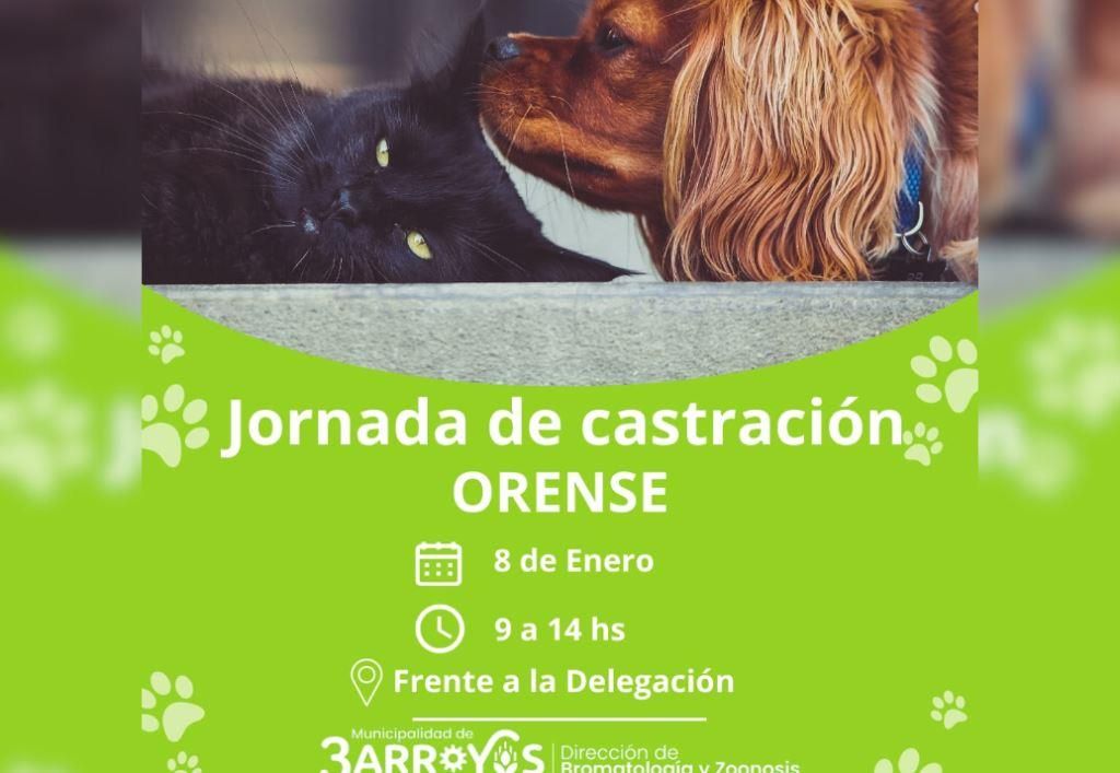 El móvil de castraciones llega a Orense
