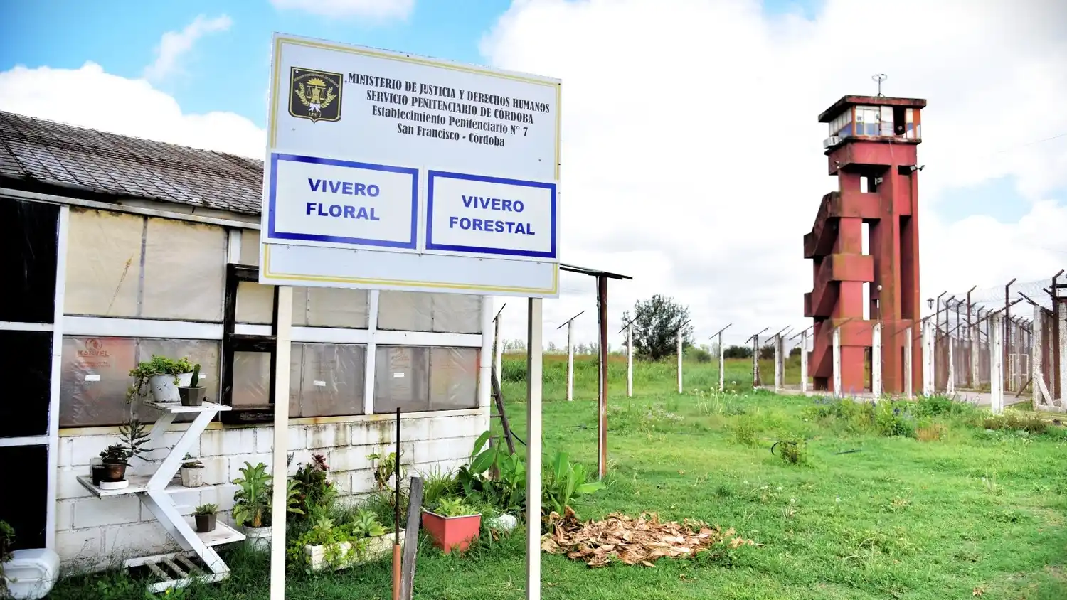Vivero que funciona en San Francisco
