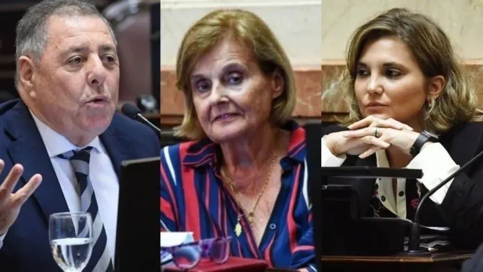 Caída de los vetos a Universidad y Garrahan: no hubo unanimidad en los senadores entrerrianos