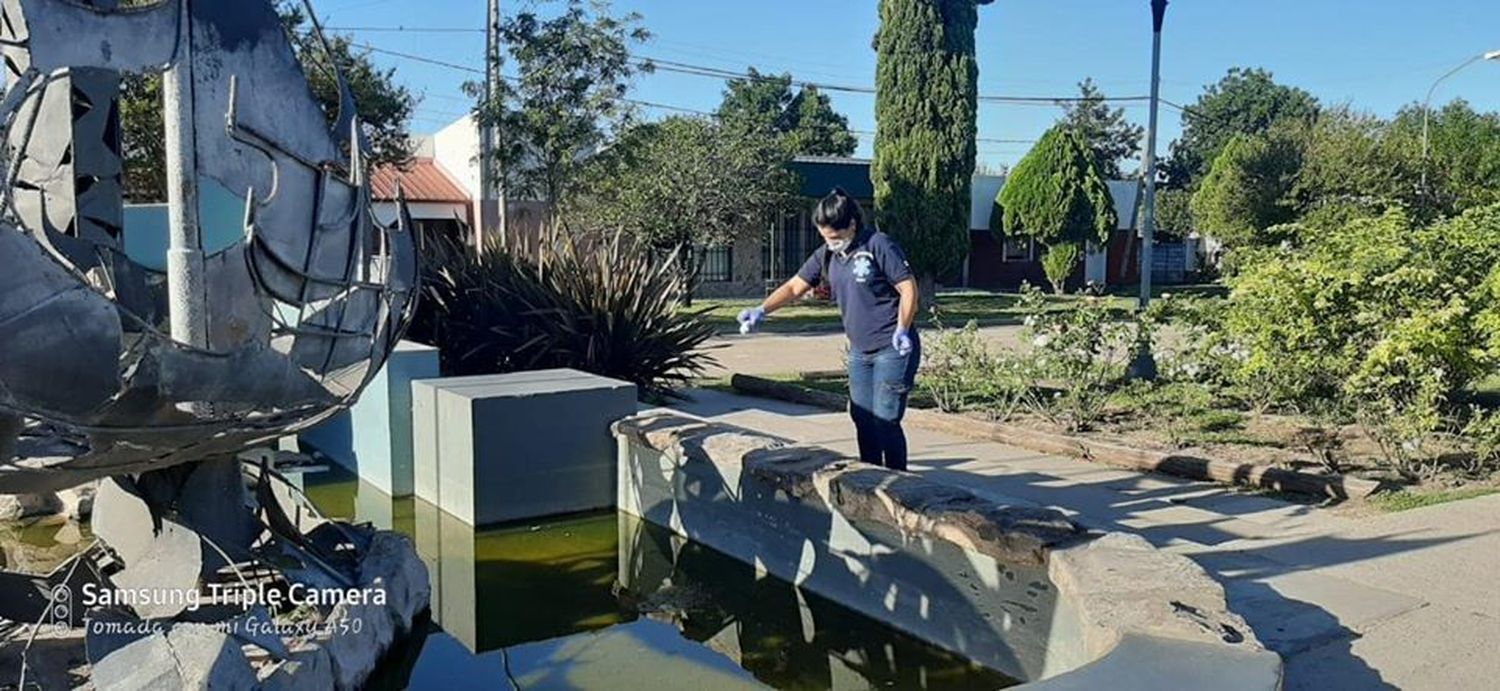 Ya son diez los casos de dengue en la ciudad de Nogoyá