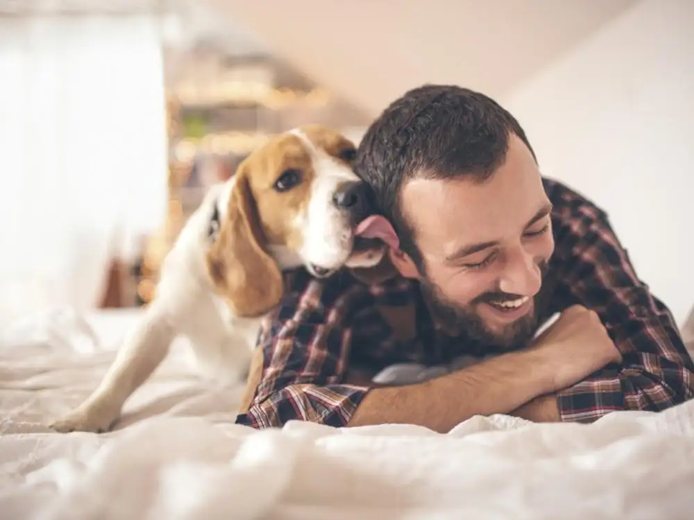 Doce razones por las cuales las mascotas mejoran la salud