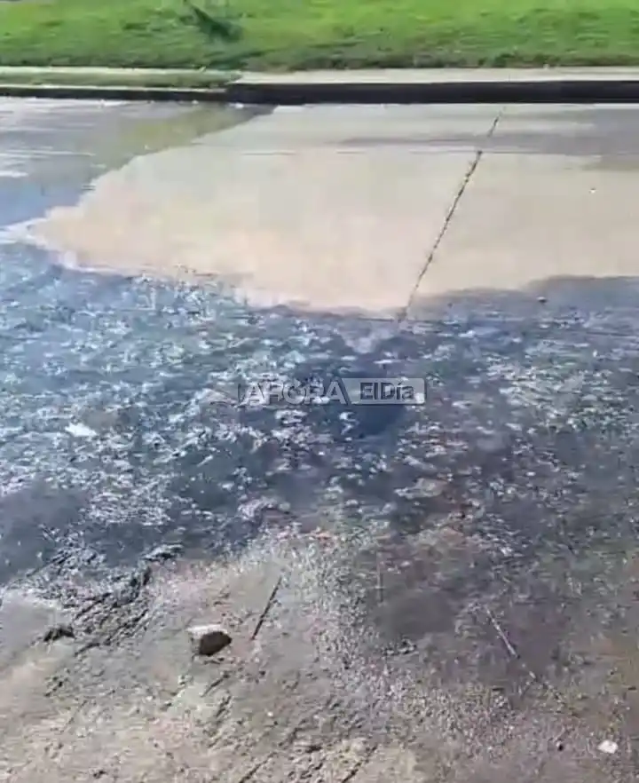 Vecinos de Costanera Sur se quejan porque conviven hace años con aguas servidas