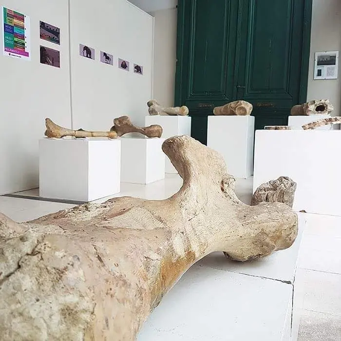 Las muestras de agosto en el Museo Mulazzi