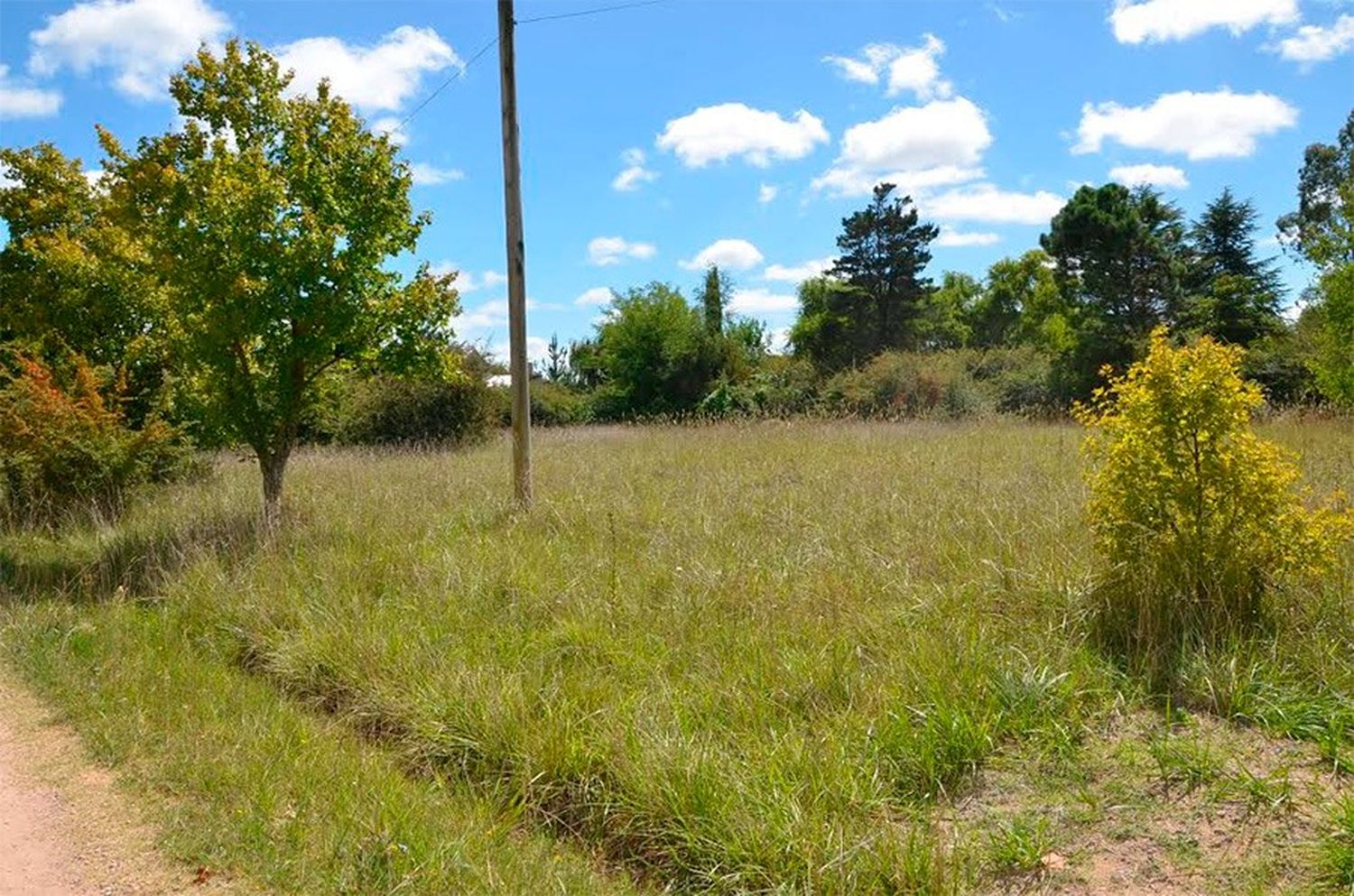 Aplicarán importantes multas a quienes no tengan limpios sus terrenos baldíos