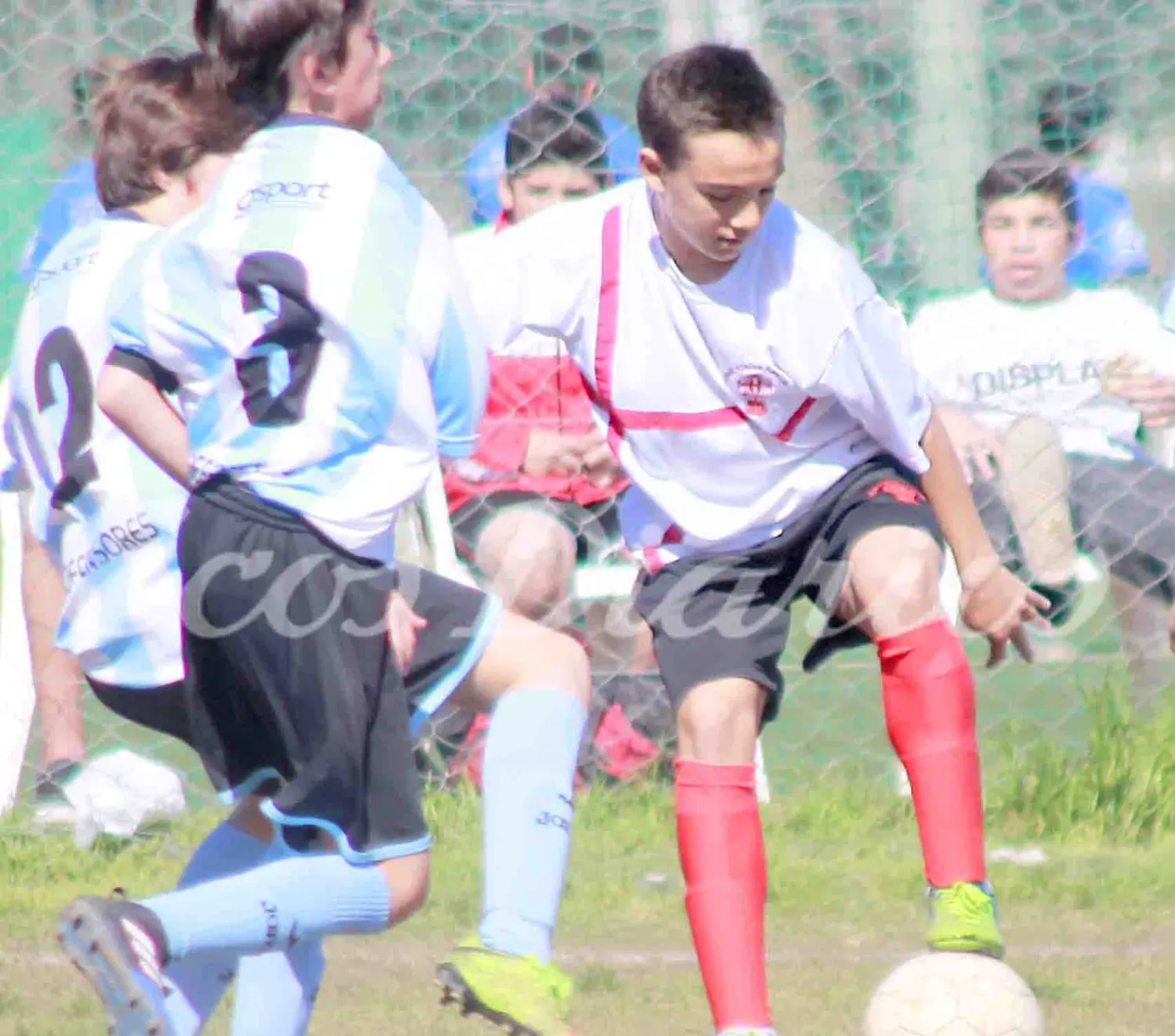Son analistas del campeonato