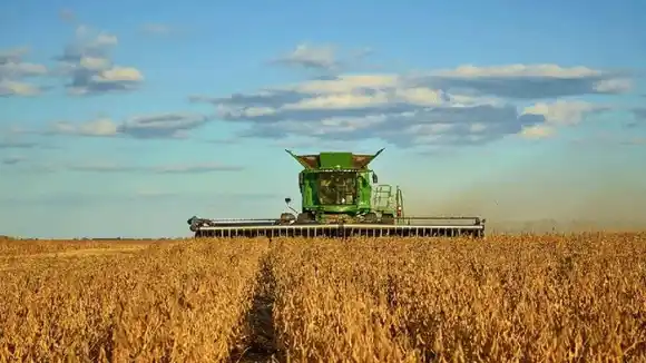 “La vuelta de las retenciones afecta porque el 80% de lo que producimos lo tenemos que vender”